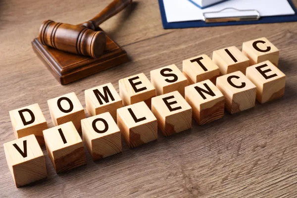domestic violence law